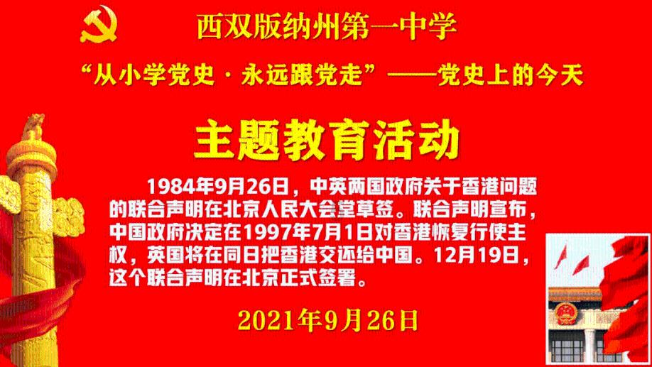 胖小猫救援